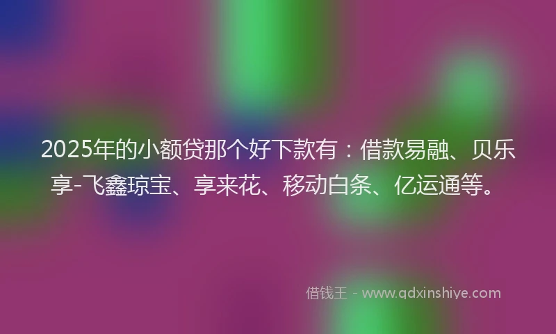 2025年的小额贷那个好下款有：借款易融、贝乐享-飞鑫琼宝、享来花、移动白条、亿运通等。