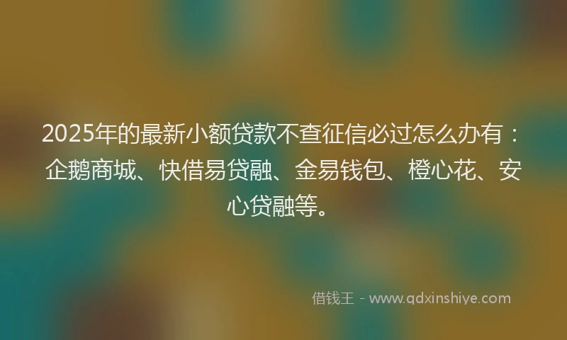2025年的最新小额贷款不查征信必过怎么办有：企鹅商城、快借易贷融、金易钱包、橙心花、安心贷融等。