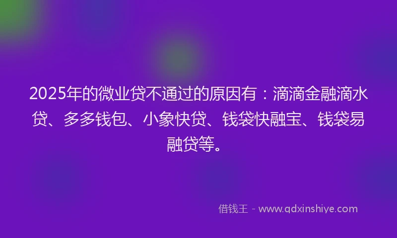 2025年的微业贷不通过的原因有：滴滴金融滴水贷、多多钱包、小象快贷、钱袋快融宝、钱袋易融贷等。