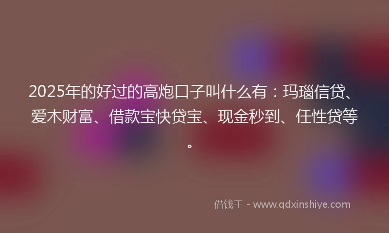 2025年的好过的高炮口子叫什么有：玛瑙信贷、爱木财富、借款宝快贷宝、现金秒到、任性贷等。