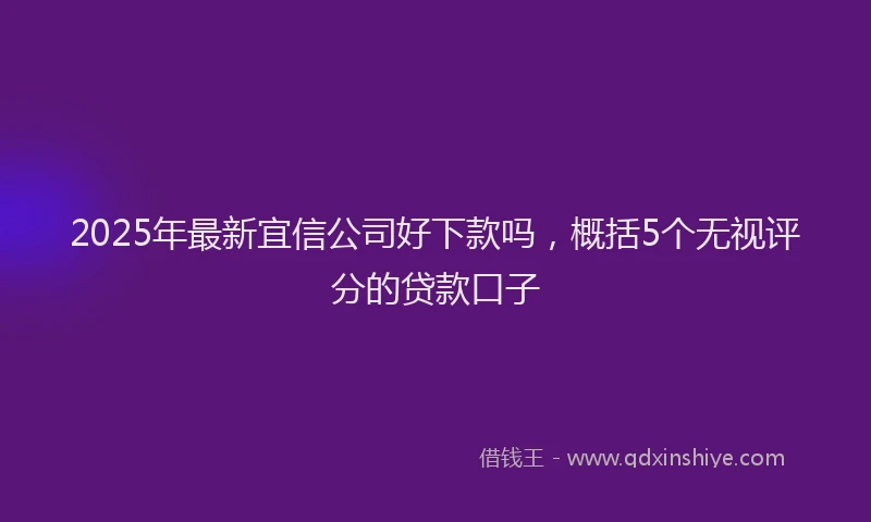 2025年最新宜信公司好下款吗，概括5个无视评分的贷款口子