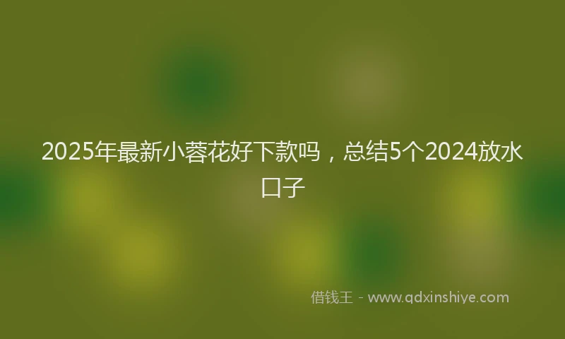 2025年最新小蓉花好下款吗，总结5个2024放水口子