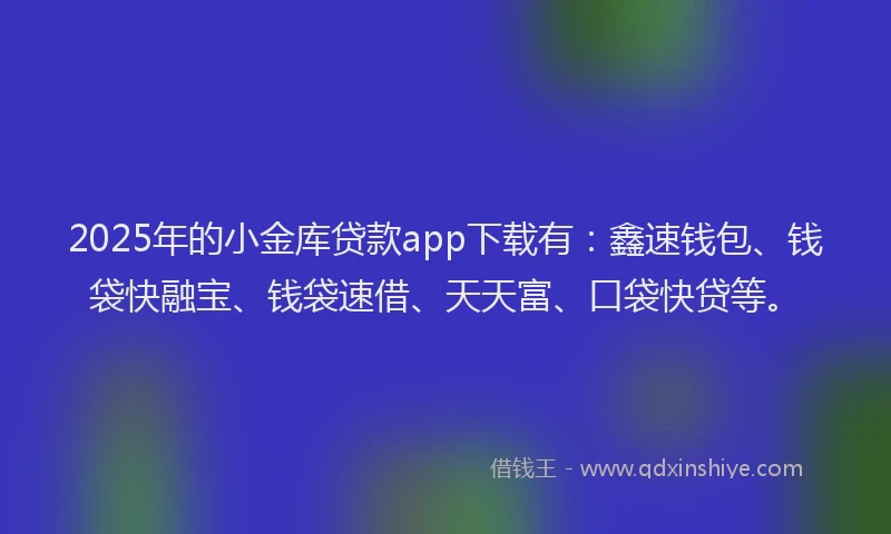 2025年的小金库贷款app下载有：鑫速钱包、钱袋快融宝、钱袋速借、天天富、口袋快贷等。