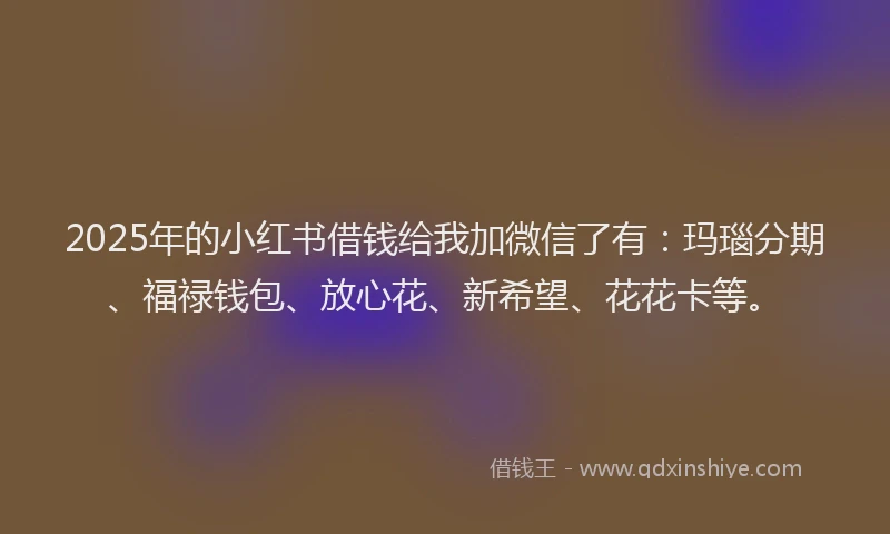 2025年的小红书借钱给我加微信了有：玛瑙分期、福禄钱包、放心花、新希望、花花卡等。
