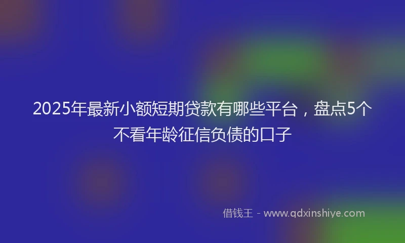 2025年最新小额短期贷款有哪些平台，盘点5个不看年龄征信负债的口子