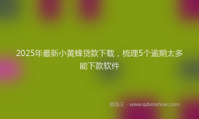 2025年最新小黄蜂贷款下载，梳理5个逾期太多能下款软件