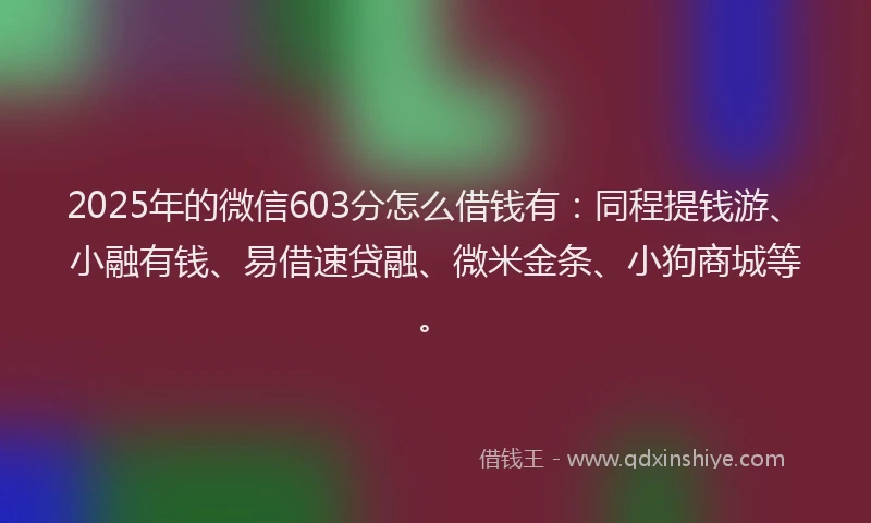 2025年的微信603分怎么借钱有：同程提钱游、小融有钱、易借速贷融、微米金条、小狗商城等。