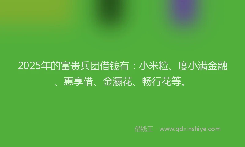 2025年的富贵兵团借钱有：小米粒、度小满金融、惠享借、金瀛花、畅行花等。
