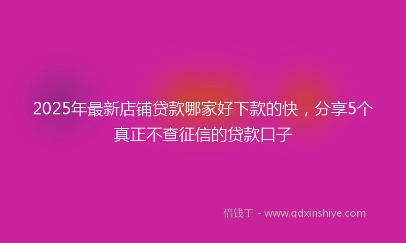 2025年最新店铺贷款哪家好下款的快，分享5个真正不查征信的贷款口子