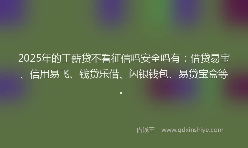 2025年的工薪贷不看征信吗安全吗有：借贷易宝、信用易飞、钱贷乐借、闪银钱包、易贷宝盒等。