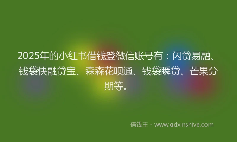 2025年的小红书借钱登微信账号有：闪贷易融、钱袋快融贷宝、森森花呗通、钱袋瞬贷、芒果分期等。