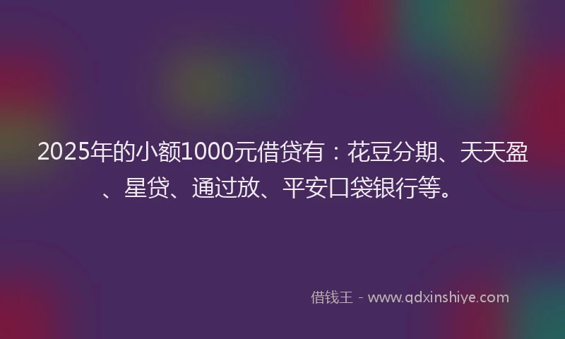 2025年的小额1000元借贷有：花豆分期、天天盈、星贷、通过放、平安口袋银行等。