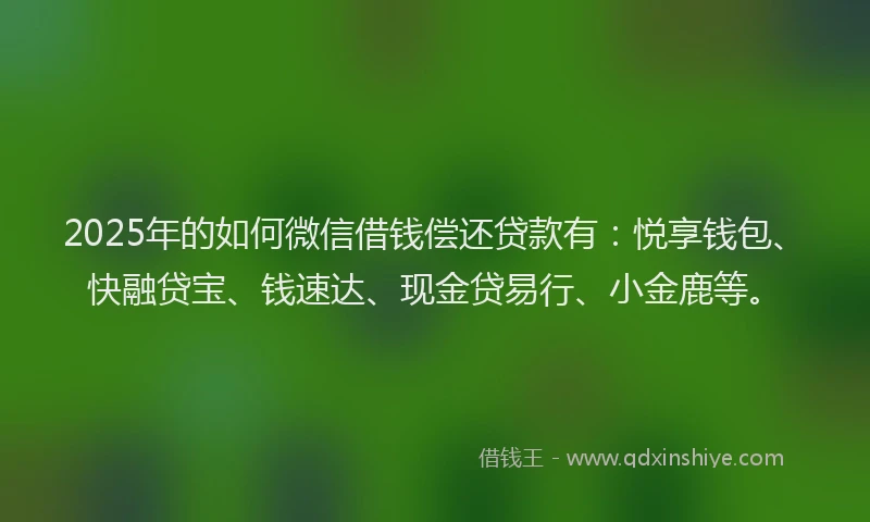 2025年的如何微信借钱偿还贷款有：悦享钱包、快融贷宝、钱速达、现金贷易行、小金鹿等。