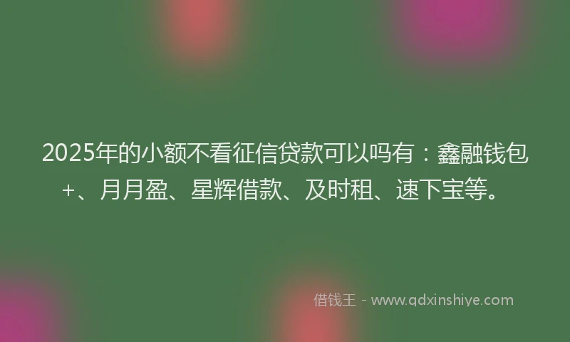2025年的小额不看征信贷款可以吗有：鑫融钱包+、月月盈、星辉借款、及时租、速下宝等。