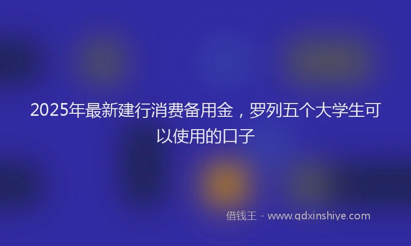 2025年最新建行消费备用金，罗列五个大学生可以使用的口子