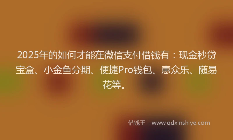 2025年的如何才能在微信支付借钱有：现金秒贷宝盒、小金鱼分期、便捷Pro钱包、惠众乐、随易花等。