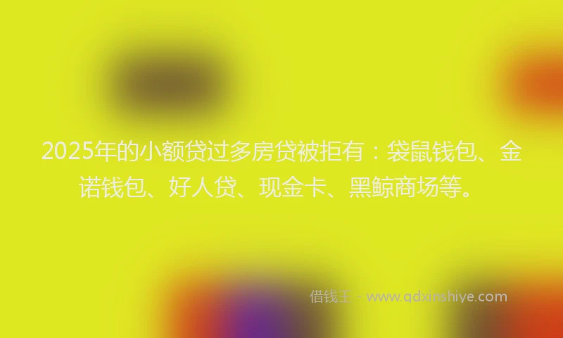 2025年的小额贷过多房贷被拒有：袋鼠钱包、金诺钱包、好人贷、现金卡、黑鲸商场等。
