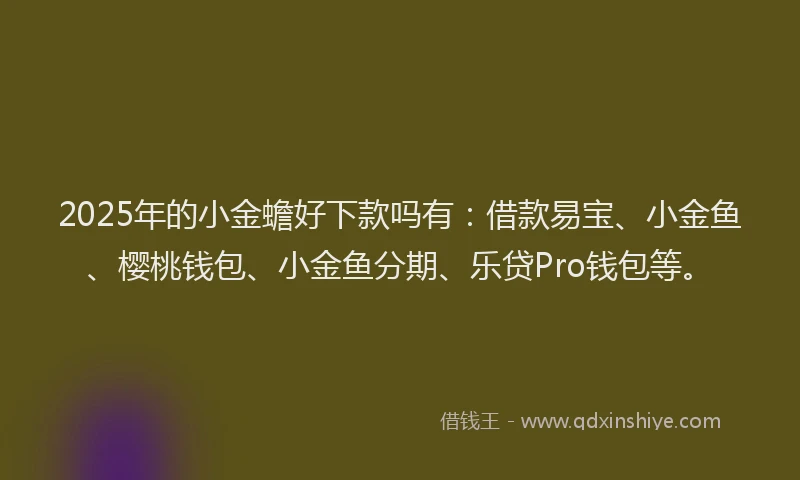 2025年的小金蟾好下款吗有：借款易宝、小金鱼、樱桃钱包、小金鱼分期、乐贷Pro钱包等。