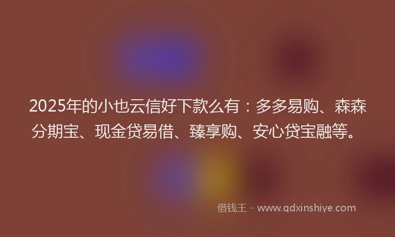 2025年的小也云信好下款么有：多多易购、森森分期宝、现金贷易借、臻享购、安心贷宝融等。