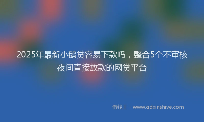 2025年最新小鹅贷容易下款吗，整合5个不审核夜间直接放款的网贷平台