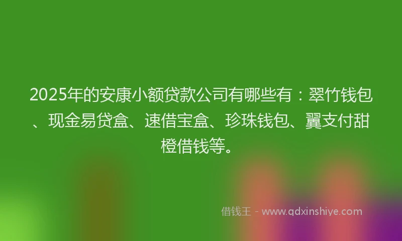 2025年的安康小额贷款公司有哪些有：翠竹钱包、现金易贷盒、速借宝盒、珍珠钱包、翼支付甜橙借钱等。