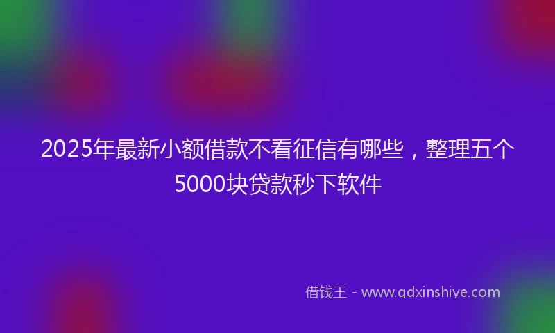 2025年最新小额借款不看征信有哪些，整理五个5000块贷款秒下软件
