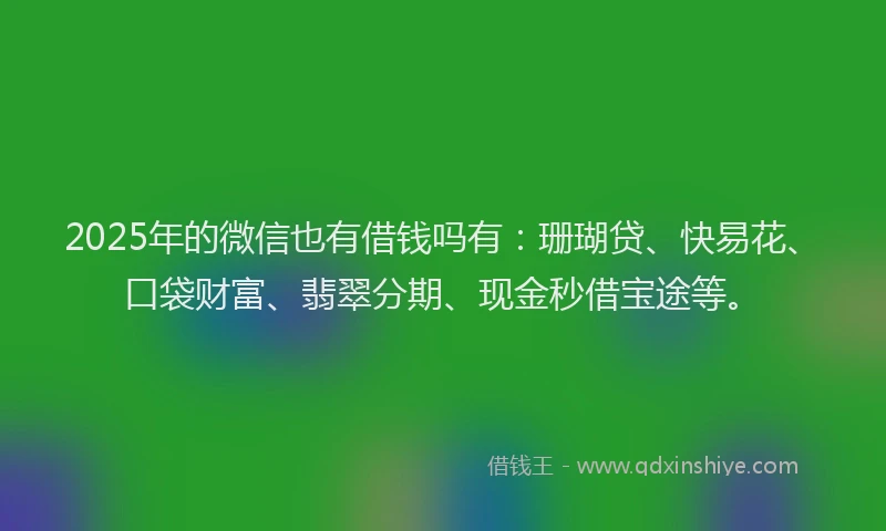 2025年的微信也有借钱吗有：珊瑚贷、快易花、口袋财富、翡翠分期、现金秒借宝途等。