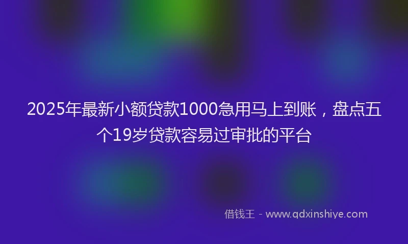 2025年最新小额贷款1000急用马上到账，盘点五个19岁贷款容易过审批的平台
