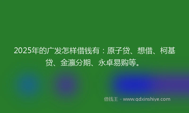 2025年的广发怎样借钱有：原子贷、想借、柯基贷、金瀛分期、永卓易购等。