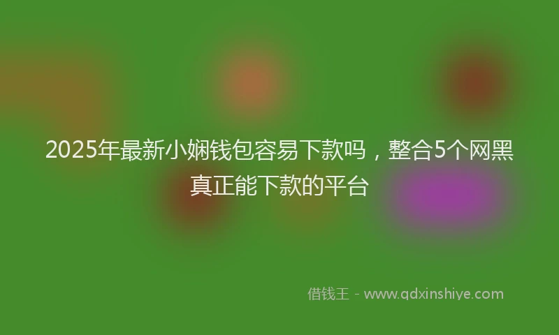 2025年最新小娴钱包容易下款吗，整合5个网黑真正能下款的平台