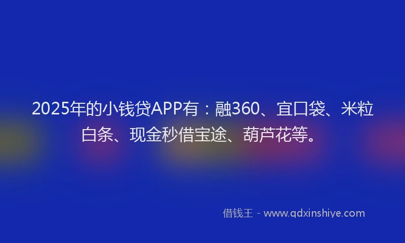 2025年的小钱贷APP有：融360、宜口袋、米粒白条、现金秒借宝途、葫芦花等。