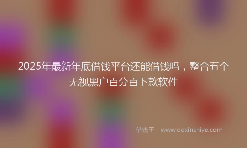 2025年最新年底借钱平台还能借钱吗，整合五个无视黑户百分百下款软件