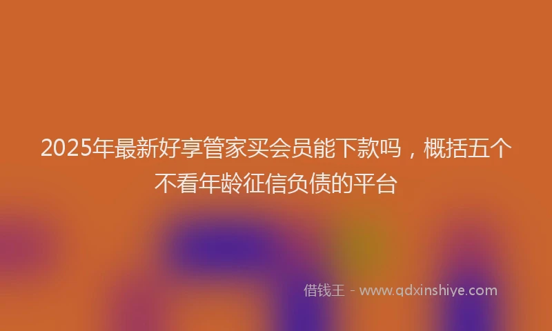 2025年最新好享管家买会员能下款吗，概括五个不看年龄征信负债的平台