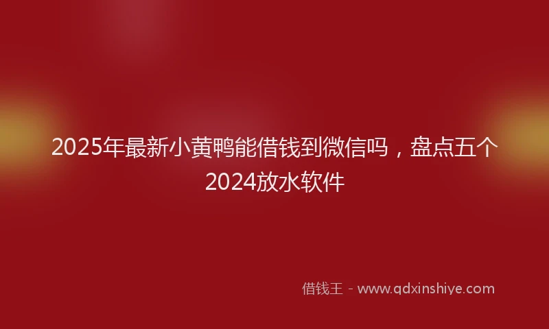 2025年最新小黄鸭能借钱到微信吗，盘点五个2024放水软件