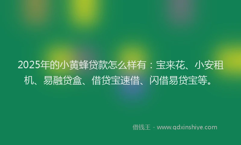2025年的小黄蜂贷款怎么样有：宝来花、小安租机、易融贷盒、借贷宝速借、闪借易贷宝等。