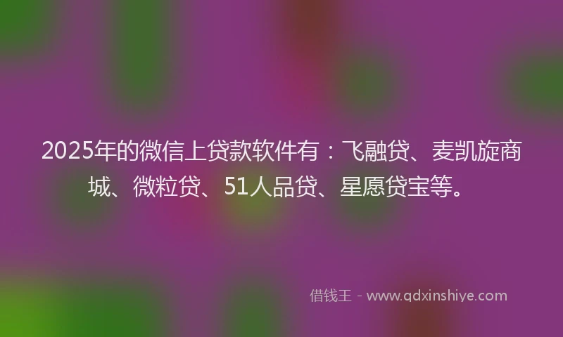 2025年的微信上贷款软件有：飞融贷、麦凯旋商城、微粒贷、51人品贷、星愿贷宝等。