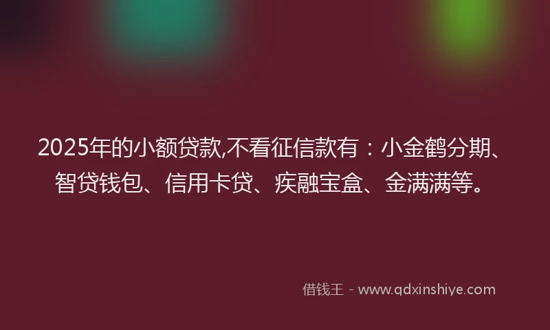 2025年的小额贷款,不看征信款有：小金鹤分期、智贷钱包、信用卡贷、疾融宝盒、金满满等。
