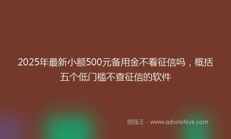 2025年最新小额500元备用金不看征信吗，概括五个低门槛不查征信的软件