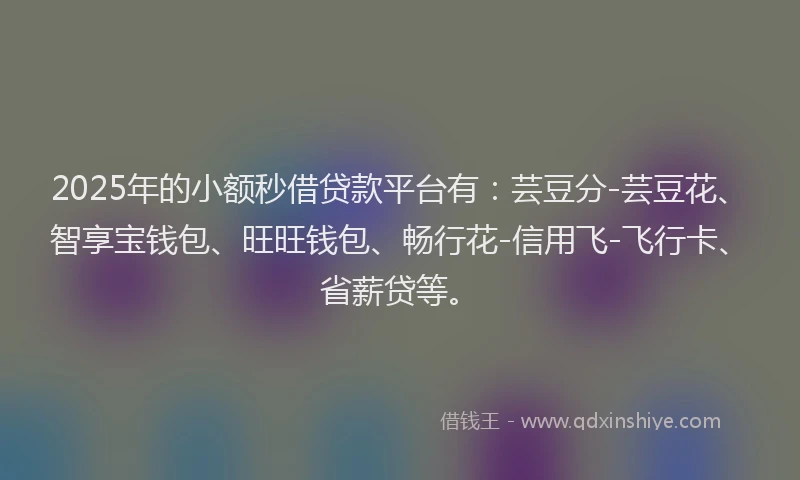 2025年的小额秒借贷款平台有：芸豆分-芸豆花、智享宝钱包、旺旺钱包、畅行花-信用飞-飞行卡、省薪贷等。