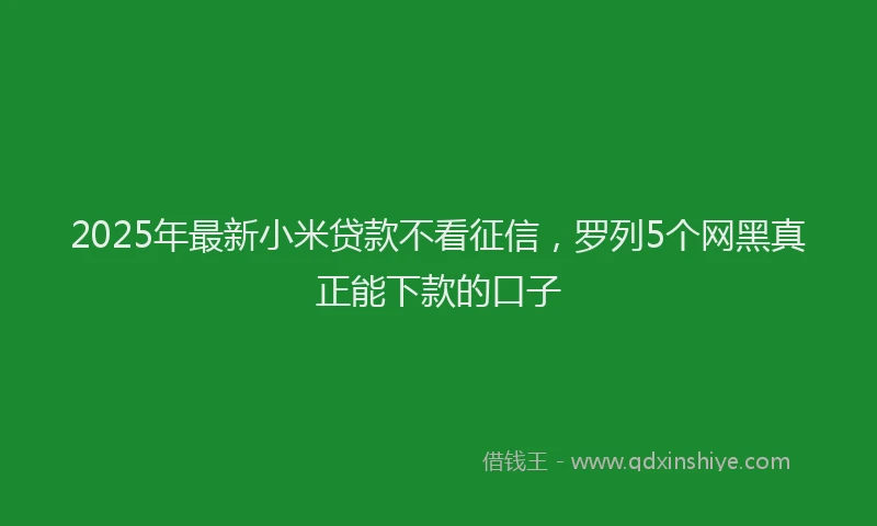 2025年最新小米贷款不看征信，罗列5个网黑真正能下款的口子