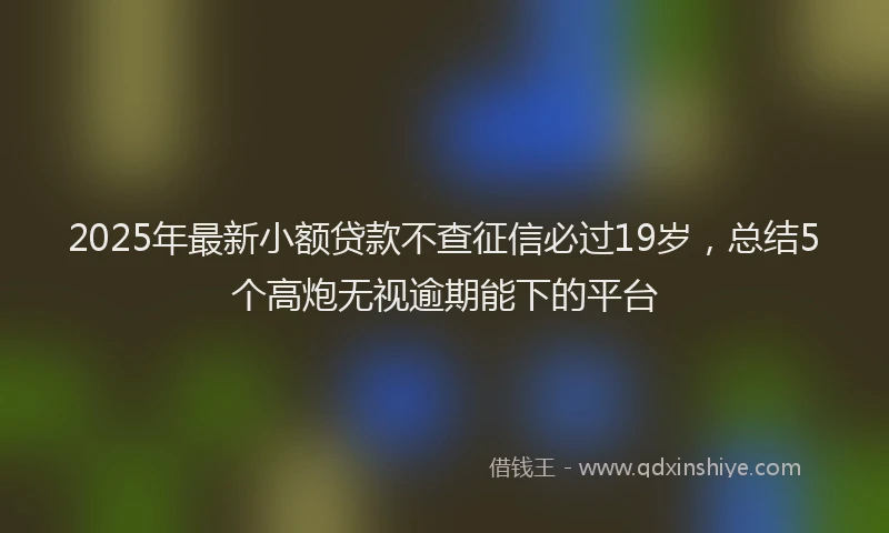 2025年最新小额贷款不查征信必过19岁，总结5个高炮无视逾期能下的平台