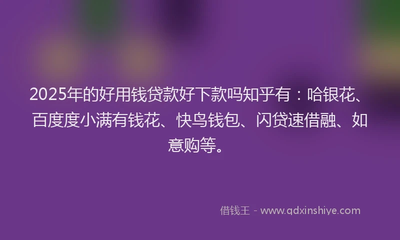 2025年的好用钱贷款好下款吗知乎有：哈银花、百度度小满有钱花、快鸟钱包、闪贷速借融、如意购等。