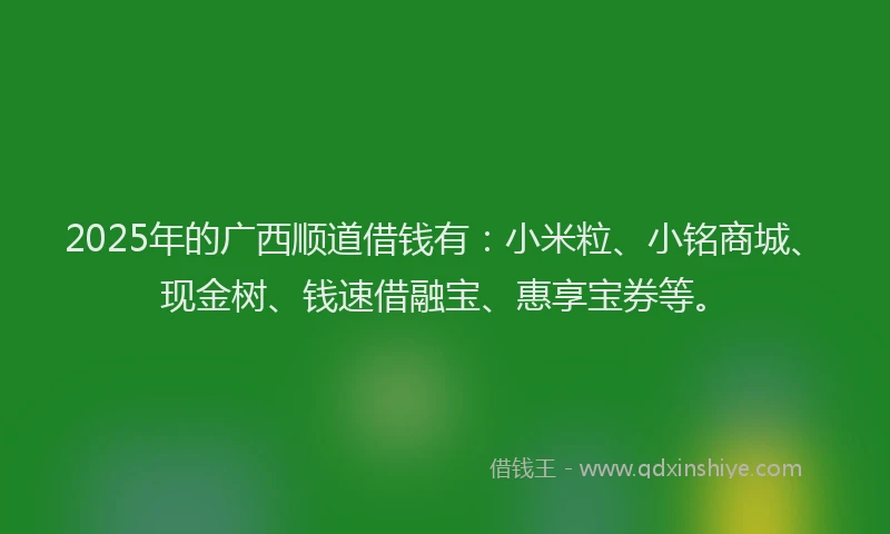 2025年的广西顺道借钱有：小米粒、小铭商城、现金树、钱速借融宝、惠享宝券等。