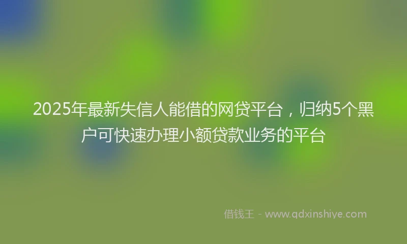 2025年最新失信人能借的网贷平台，归纳5个黑户可快速办理小额贷款业务的平台