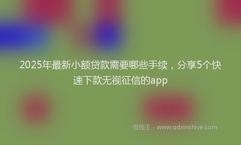 2025年最新小额贷款需要哪些手续，分享5个快速下款无视征信的app