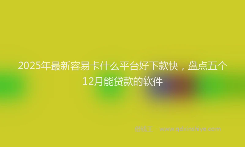 2025年最新容易卡什么平台好下款快，盘点五个12月能贷款的软件
