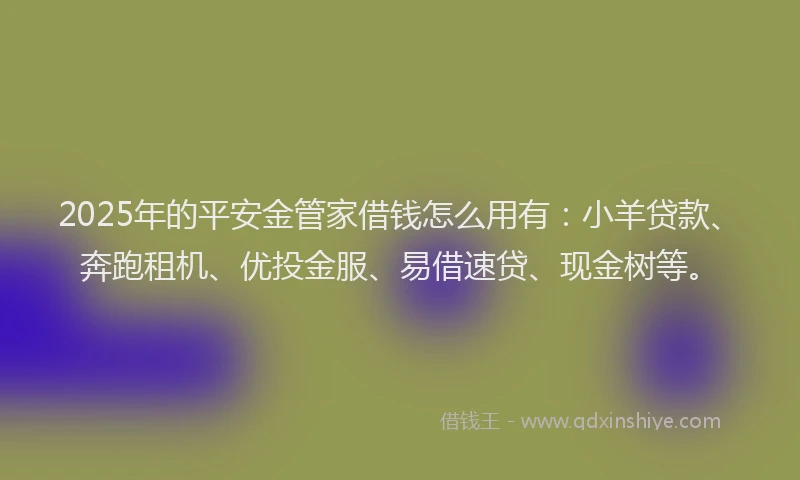2025年的平安金管家借钱怎么用有：小羊贷款、奔跑租机、优投金服、易借速贷、现金树等。