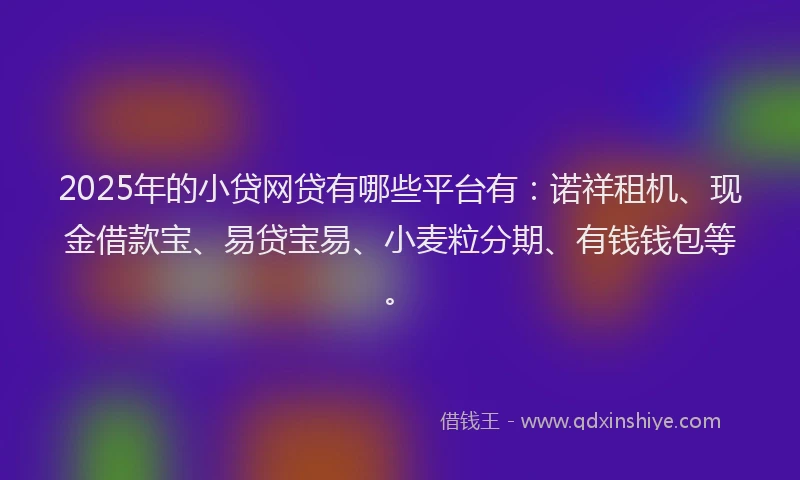 2025年的小贷网贷有哪些平台有：诺祥租机、现金借款宝、易贷宝易、小麦粒分期、有钱钱包等。