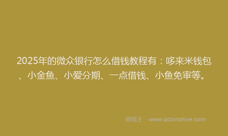 2025年的微众银行怎么借钱教程有：哆来米钱包、小金鱼、小爱分期、一点借钱、小鱼免审等。