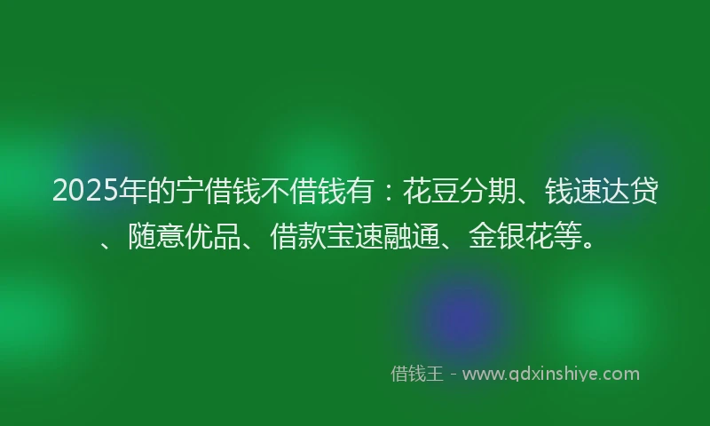 2025年的宁借钱不借钱有：花豆分期、钱速达贷、随意优品、借款宝速融通、金银花等。